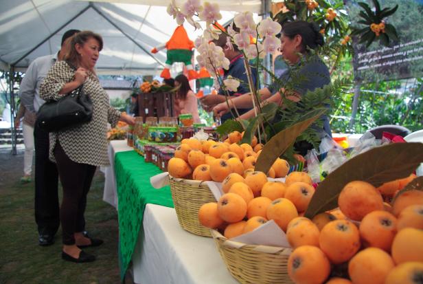 Festival-del-Níspero-de-San-Juan-del-Obispo,-La-Antigua-Guatemala